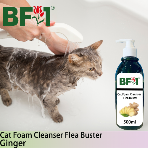 Cat Foam Cleanser Flea Buster (CFC-Cat) - Ginger - 500ml ⭐⭐⭐⭐⭐