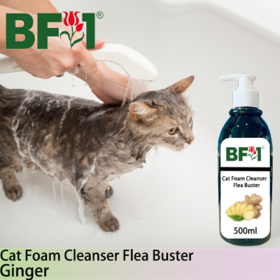 Cat Foam Cleanser Flea Buster (CFC-Cat) - Ginger - 500ml ⭐⭐⭐⭐⭐