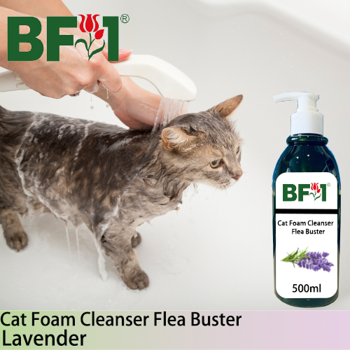 Cat Foam Cleanser Flea Buster (CFC-Cat) - Lavender - 500ml ⭐⭐⭐⭐⭐