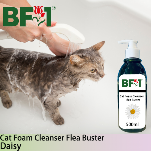 Cat Foam Cleanser Flea Buster (CFC-Cat) - Daisy - 500ml ⭐⭐⭐⭐⭐