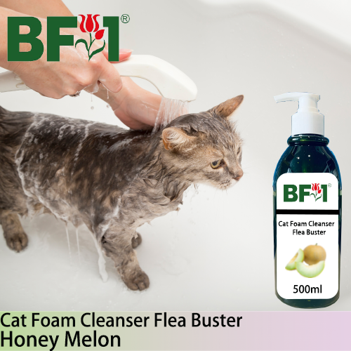 Cat Foam Cleanser Flea Buster (CFC-Cat) - Honey Melon - 500ml ⭐⭐⭐⭐⭐