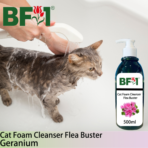 Cat Foam Cleanser Flea Buster (CFC-Cat) - Geranium - 500ml ⭐⭐⭐⭐⭐