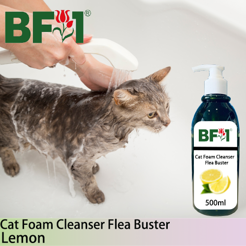 Cat Foam Cleanser Flea Buster (CFC-Cat) - Lemon - 500ml ⭐⭐⭐⭐⭐