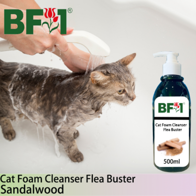 Cat Foam Cleanser Flea Buster (CFC-Cat) - Sandalwood - 500ml ⭐⭐⭐⭐⭐