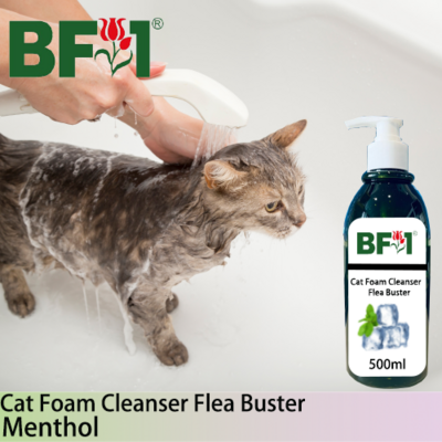 Cat Foam Cleanser Flea Buster (CFC-Cat) - Menthol - 500ml ⭐⭐⭐⭐⭐