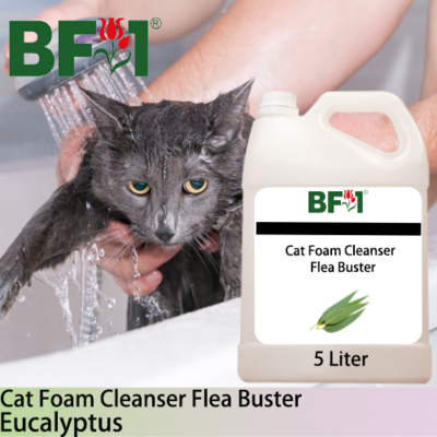 Cat Foam Cleanser Flea Buster (CFC-Cat) - Eucalyptus - 5L ⭐⭐⭐⭐⭐