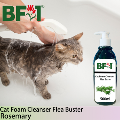 Cat Foam Cleanser Flea Buster (CFC-Cat) - Rosemary - 500ml ⭐⭐⭐⭐⭐