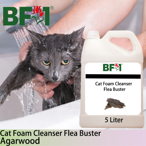Cat Foam Cleanser Flea Buster (CFC-Cat) - Agarwood - 5L ⭐⭐⭐⭐⭐
