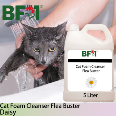 Cat Foam Cleanser Flea Buster (CFC-Cat) - Daisy - 5L ⭐⭐⭐⭐⭐