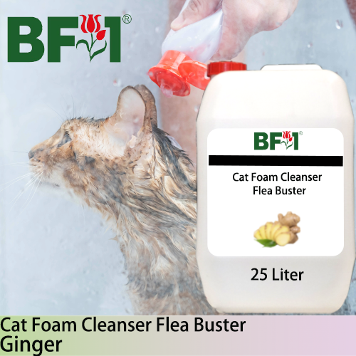 Cat Foam Cleanser Flea Buster (CFC-Cat) - Ginger - 25L ⭐⭐⭐⭐⭐