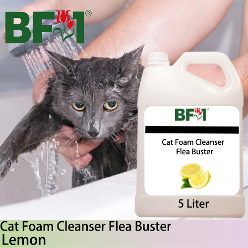 Cat Foam Cleanser Flea Buster (CFC-Cat) - Lemon - 5L ⭐⭐⭐⭐⭐