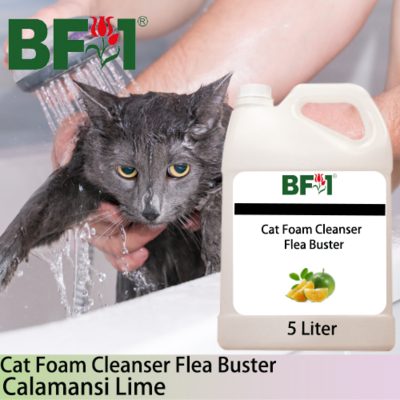 Cat Foam Cleanser Flea Buster (CFC-Cat) - lime - Calamansi Lime - 5L ⭐⭐⭐⭐⭐