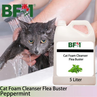 Cat Foam Cleanser Flea Buster (CFC-Cat) - mint - Peppermint - 5L ⭐⭐⭐⭐⭐