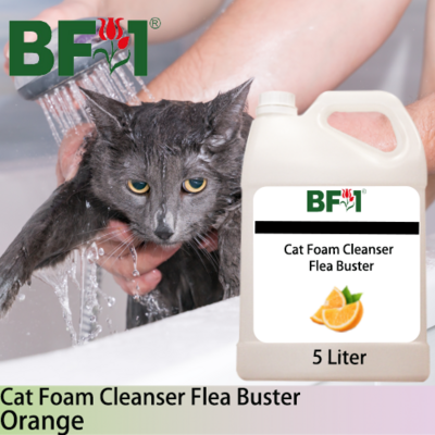 Cat Foam Cleanser Flea Buster (CFC-Cat) - Orange - 5L ⭐⭐⭐⭐⭐