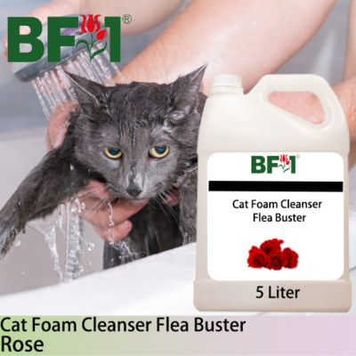 Cat Foam Cleanser Flea Buster (CFC-Cat) - Rose - 5L ⭐⭐⭐⭐⭐