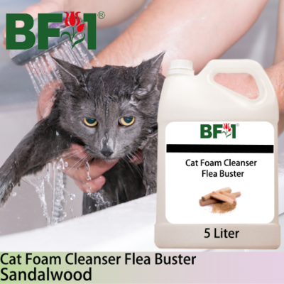 Cat Foam Cleanser Flea Buster (CFC-Cat) - Sandalwood - 5L ⭐⭐⭐⭐⭐