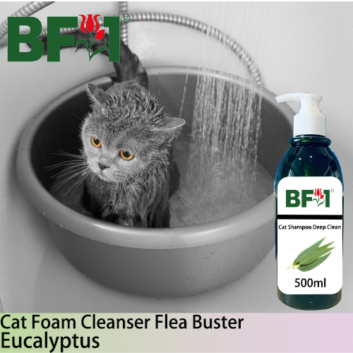 Cat Shampoo Deep Clean (CSDC-Cat) - Eucalyptus - 500ml ⭐⭐⭐⭐⭐
