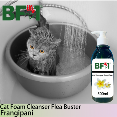 Cat Shampoo Deep Clean (CSDC-Cat) - Frangipani - 500ml ⭐⭐⭐⭐⭐