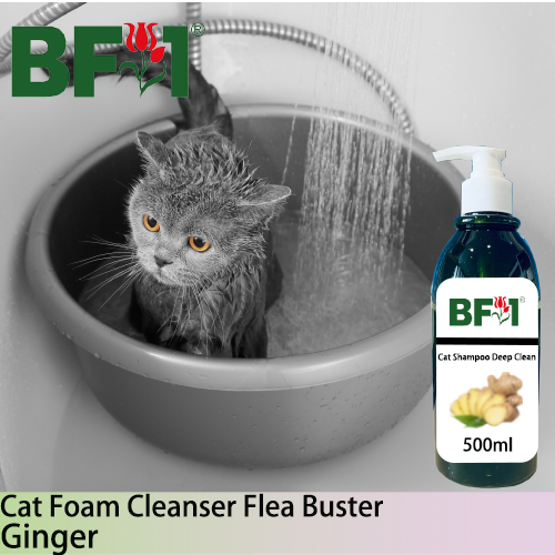 Cat Shampoo Deep Clean (CSDC-Cat) - Ginger - 500ml ⭐⭐⭐⭐⭐