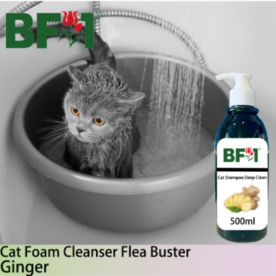 Cat Shampoo Deep Clean (CSDC-Cat) - Ginger - 500ml ⭐⭐⭐⭐⭐