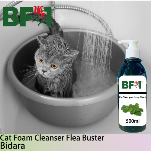 Cat Shampoo Deep Clean (CSDC-Cat) - Bidara - 500ml ⭐⭐⭐⭐⭐