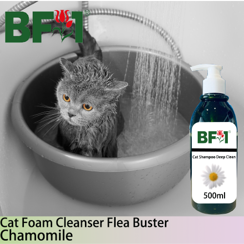 Cat Shampoo Deep Clean (CSDC-Cat) - Chamomile - 500ml ⭐⭐⭐⭐⭐