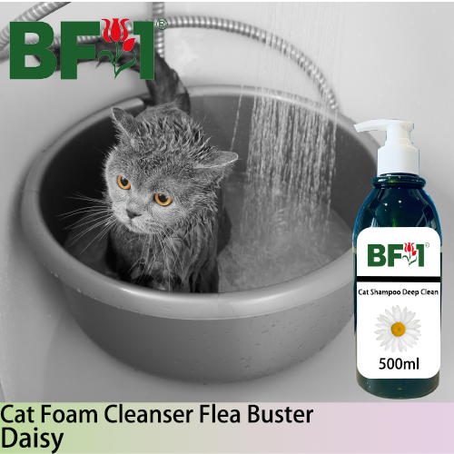 Cat Shampoo Deep Clean (CSDC-Cat) - Daisy - 500ml ⭐⭐⭐⭐⭐