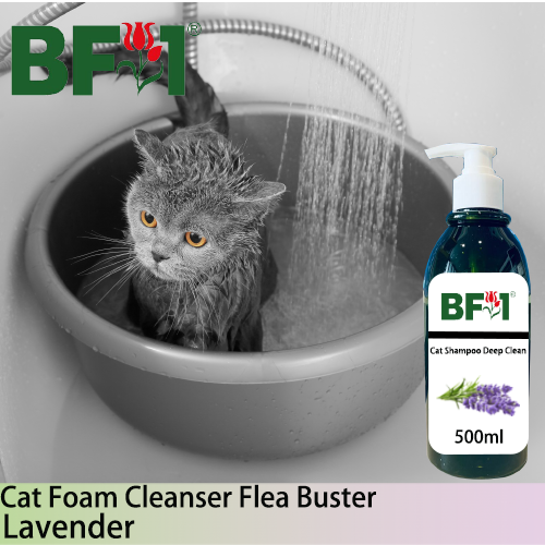 Cat Shampoo Deep Clean (CSDC-Cat) - Lavender - 500ml ⭐⭐⭐⭐⭐