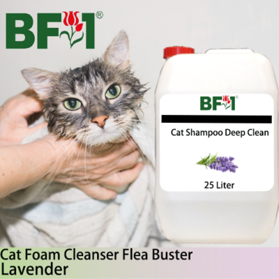 Cat Shampoo Deep Clean (CSDC-Cat) - Lavender - 25L ⭐⭐⭐⭐⭐