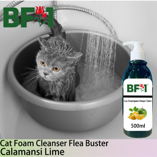 Cat Shampoo Deep Clean (CSDC-Cat) - lime - Calamansi Lime - 500ml ⭐⭐⭐⭐⭐