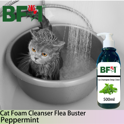 Cat Shampoo Deep Clean (CSDC-Cat) - mint - Peppermint - 500ml ⭐⭐⭐⭐⭐