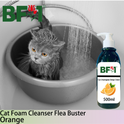 Cat Shampoo Deep Clean (CSDC-Cat) - Orange - 500ml ⭐⭐⭐⭐⭐