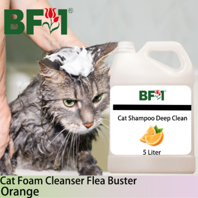 Cat Shampoo Deep Clean (CSDC-Cat) - Orange - 5L ⭐⭐⭐⭐⭐