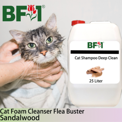 Cat Shampoo Deep Clean (CSDC-Cat) - Sandalwood - 25L ⭐⭐⭐⭐⭐