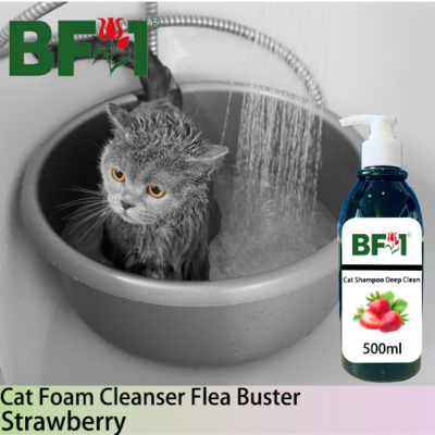 Cat Shampoo Deep Clean (CSDC-Cat) - Strawberry - 500ml ⭐⭐⭐⭐⭐