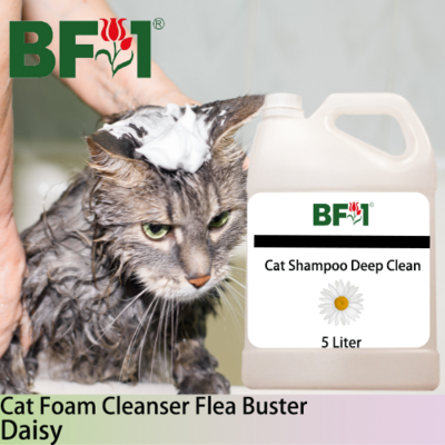 Cat Shampoo Deep Clean (CSDC-Cat) - Daisy - 5L ⭐⭐⭐⭐⭐