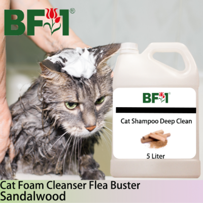 Cat Shampoo Deep Clean (CSDC-Cat) - Sandalwood - 5L ⭐⭐⭐⭐⭐