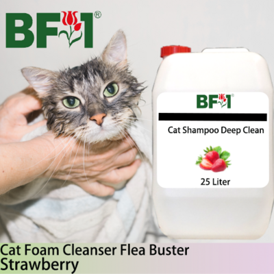 Cat Shampoo Deep Clean (CSDC-Cat) - Strawberry - 25L ⭐⭐⭐⭐⭐