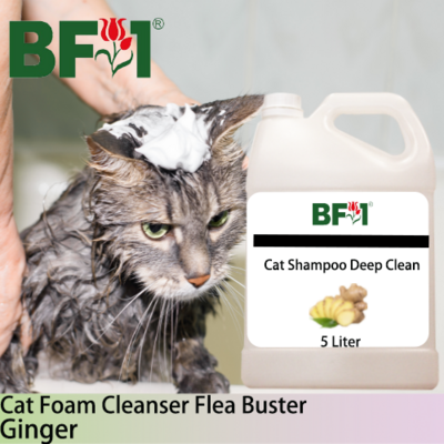 Cat Shampoo Deep Clean (CSDC-Cat) - Ginger - 5L ⭐⭐⭐⭐⭐