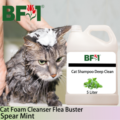 Cat Shampoo Deep Clean (CSDC-Cat) - mint - Spear Mint - 5L ⭐⭐⭐⭐⭐