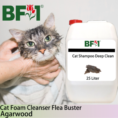 Cat Shampoo Deep Clean (CSDC-Cat) - Agarwood - 25L ⭐⭐⭐⭐⭐