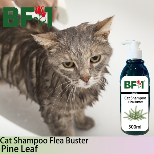 Cat Shampoo Flea Buster (CSO-Cat) - Pine Leaf - 500ml ⭐⭐⭐⭐⭐