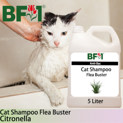 Cat Shampoo Flea Buster (CSO-Cat) - Citronella - 5L ⭐⭐⭐⭐⭐