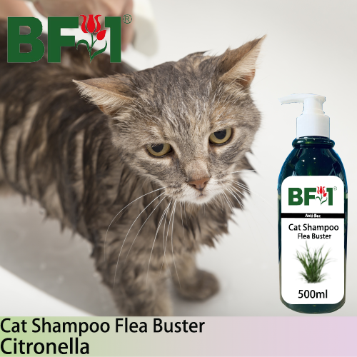 Cat Shampoo Flea Buster (CSO-Cat) - Citronella - 500ml ⭐⭐⭐⭐⭐