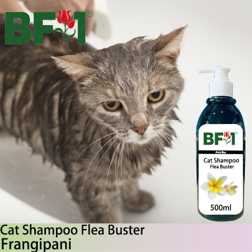 Cat Shampoo Flea Buster (CSO-Cat) - Frangipani - 500ml ⭐⭐⭐⭐⭐