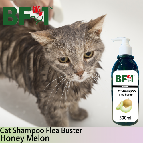 Cat Shampoo Flea Buster (CSO-Cat) - Honey Melon - 500ml ⭐⭐⭐⭐⭐