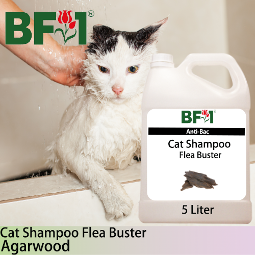 Cat Shampoo Flea Buster (CSO-Cat) - Agarwood - 5L ⭐⭐⭐⭐⭐
