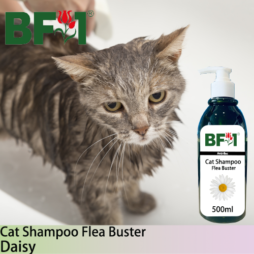 Cat Shampoo Flea Buster (CSO-Cat) - Daisy - 500ml ⭐⭐⭐⭐⭐
