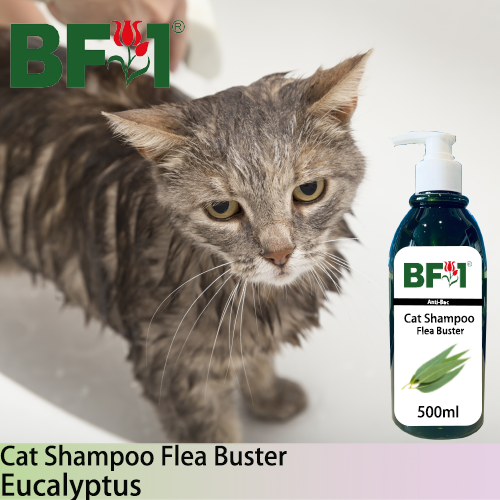 Cat Shampoo Flea Buster (CSO-Cat) - Eucalyptus - 500ml ⭐⭐⭐⭐⭐