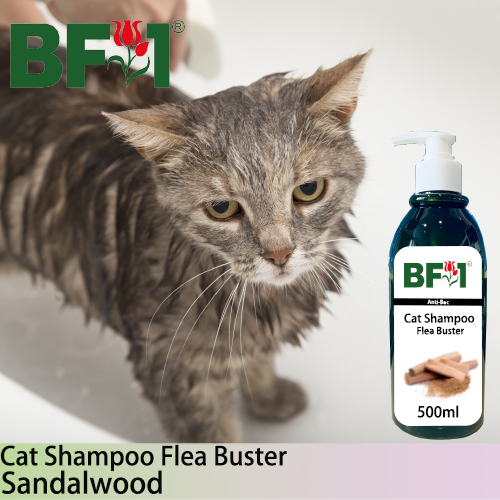 Cat Shampoo Flea Buster (CSO-Cat) - Sandalwood - 500ml ⭐⭐⭐⭐⭐